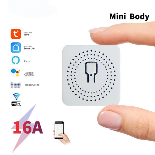 16A WiFi Smart Switch – 2-Way Voice Control