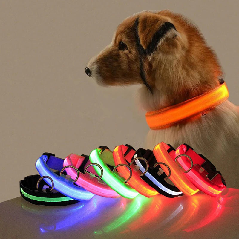 LED Dog Collar Light