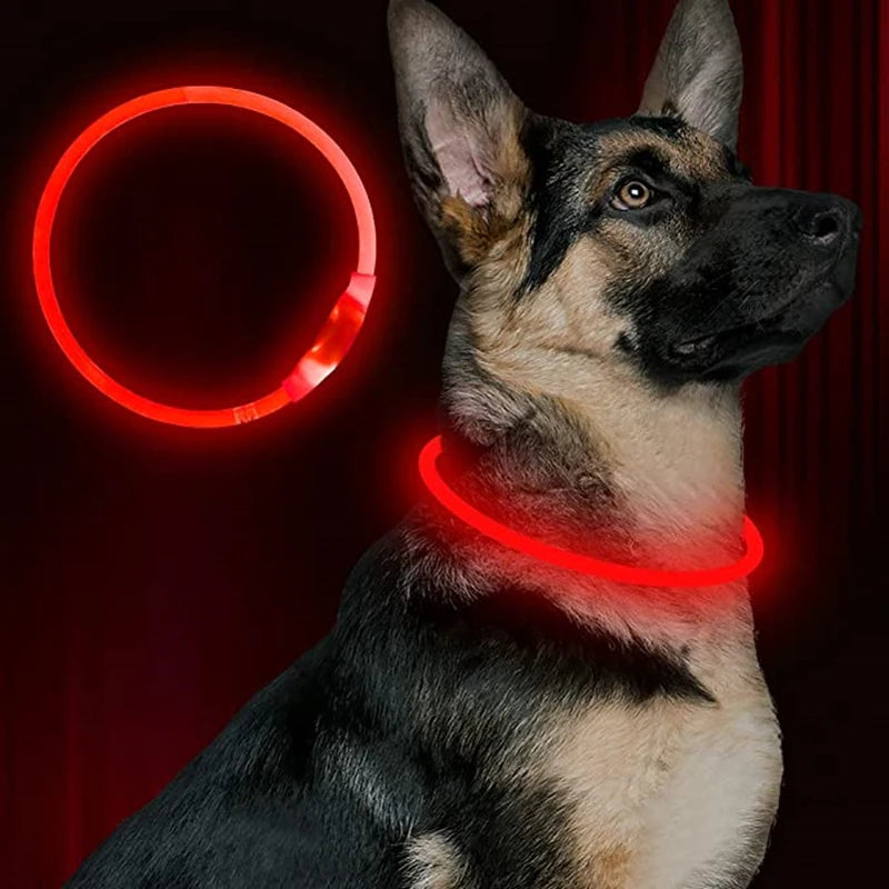 LED USB Dog Collar