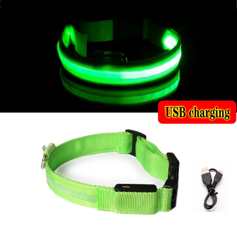 LED Dog Collar Light