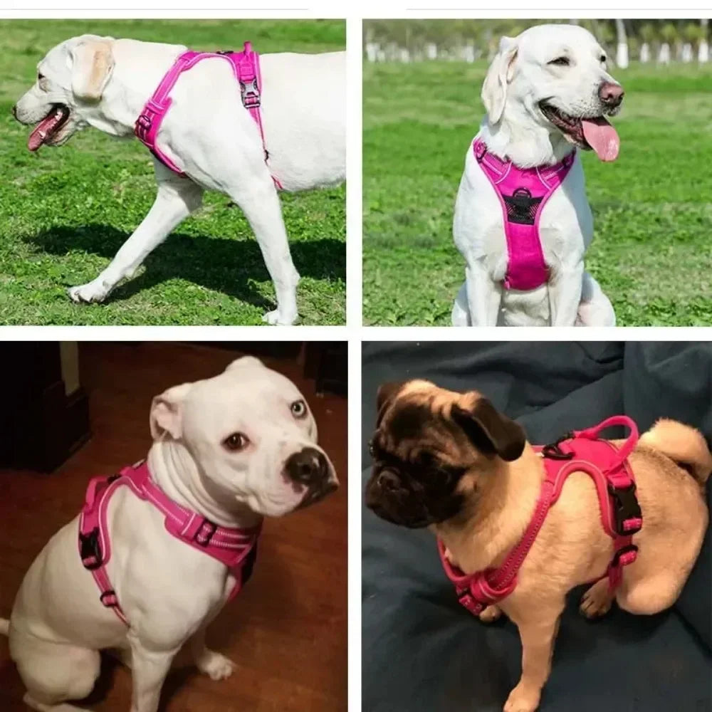 Pet Breathable Chest Strap