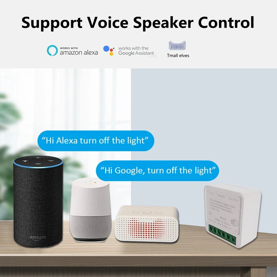 16A WiFi Smart Switch – 2-Way Voice Control